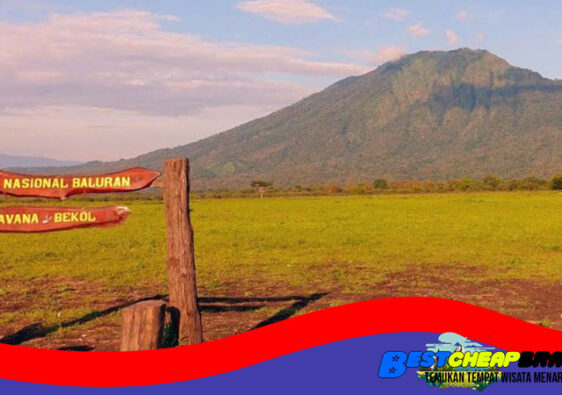 Taman Nasional Baluran