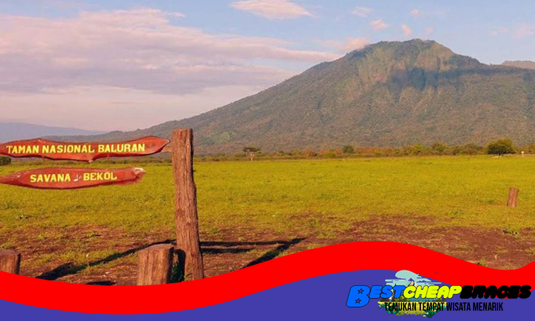 Taman Nasional Baluran