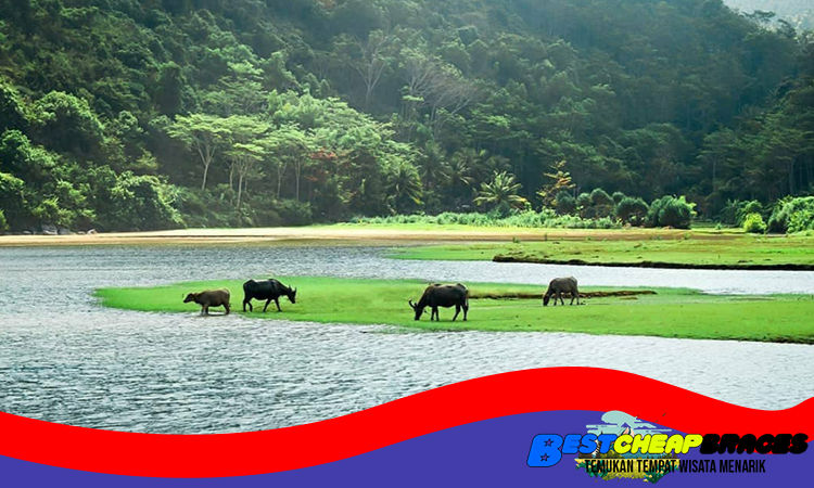 Destinasi Pantai Kebo Trenggalek